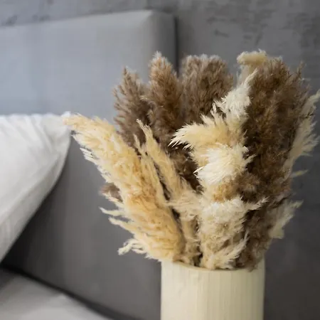 Platany51-serce Kolobrzegu *