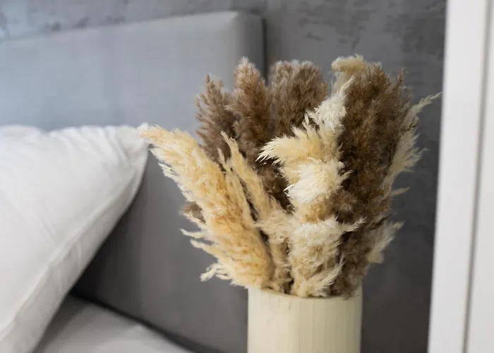 Platany51-serce Kolobrzegu *